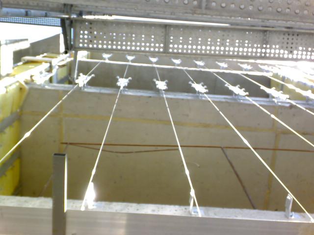 DSC00159 (Small).JPG