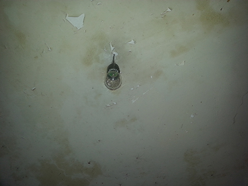 20160319_143424.jpg
