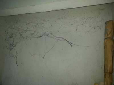 20160319_143257.jpg