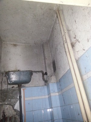 20160319_143342.jpg