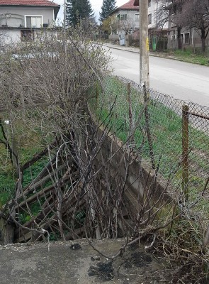 Pix_4.jpg