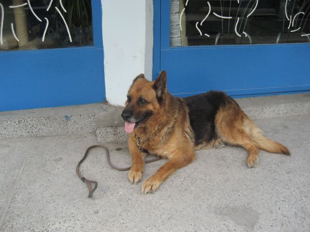 Picture 022 [640x480].jpg