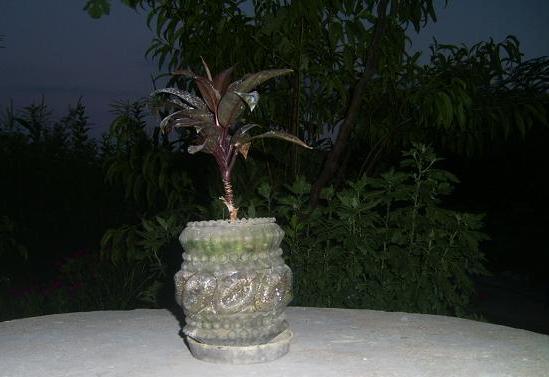 PIC_0114.JPG