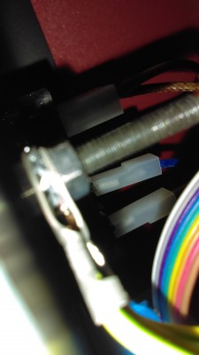 IMAG0370.jpg