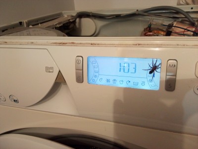 IMG_20161226_232309 (800x600).jpg