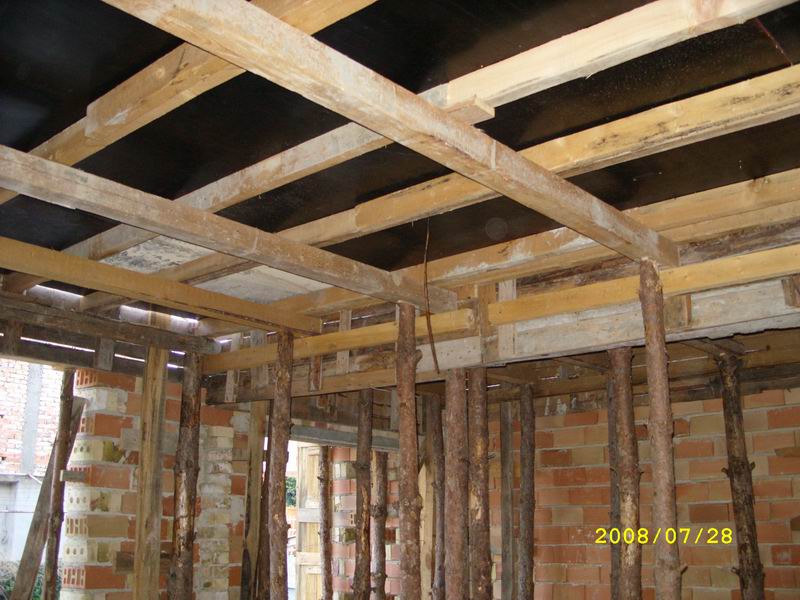 Resize of SS852983.JPG