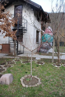 DSC_0154.jpg