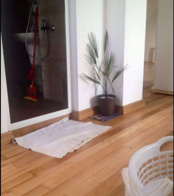 дъбово дюшеме1.PNG