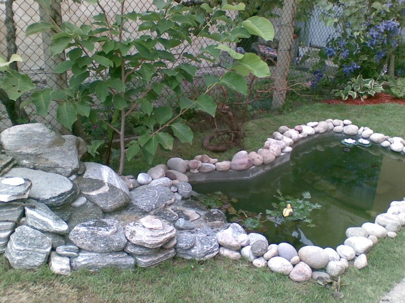 нова2.jpg