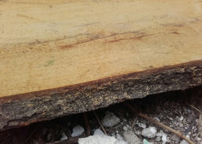 2017-04-22 01.44.24.jpg