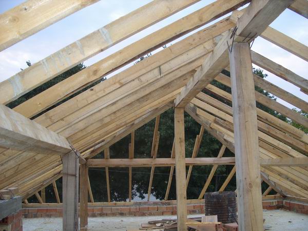 Resize of SS850304.JPG