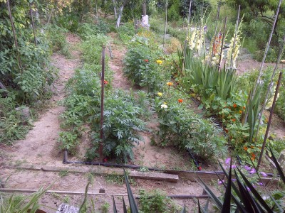 IMG-20180708-00622 r.jpg