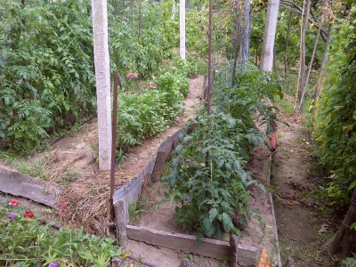 IMG-20180708-00623 r.jpg