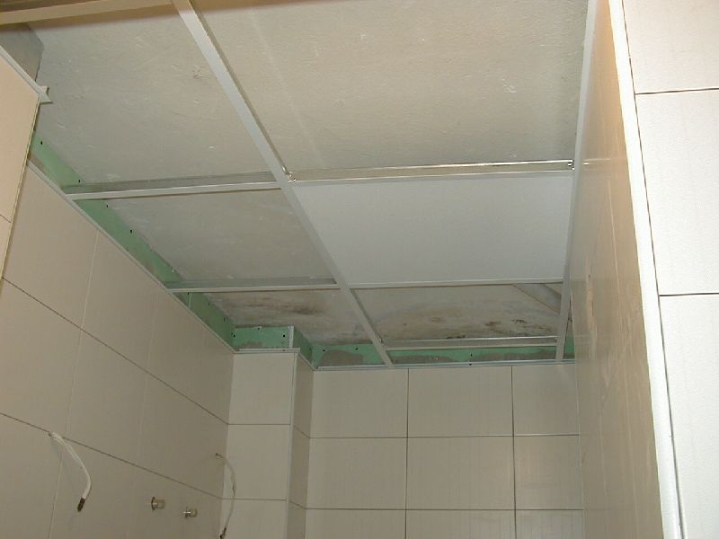 P1010144.jpg