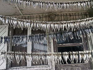 Аквариум без вода.jpg