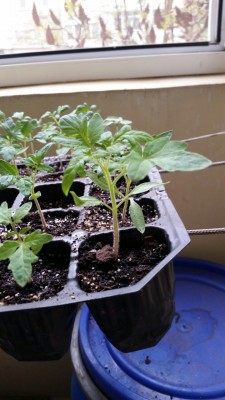 viber image 2019-04-09 , 19.38.03.jpg