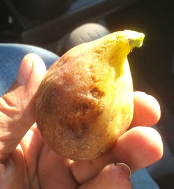 2019-07-01 at 20.57.45.jpeg