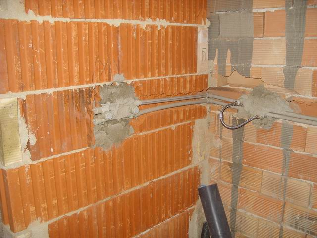 Resize of Petar 008.jpg