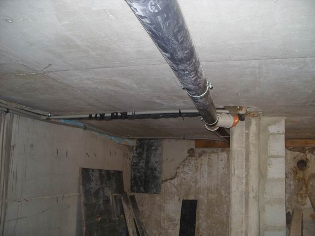 Resize of Petar 115.jpg