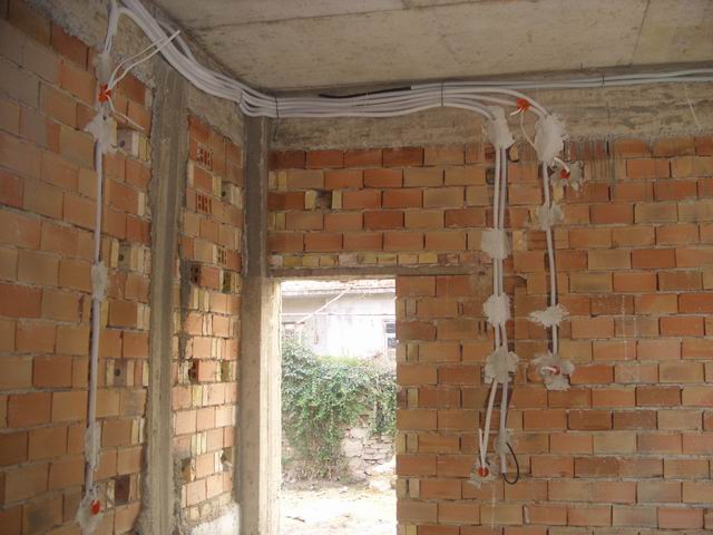 Resize of Petar 019.jpg