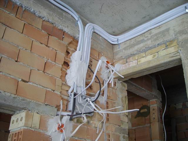 Resize of Petar 071.jpg