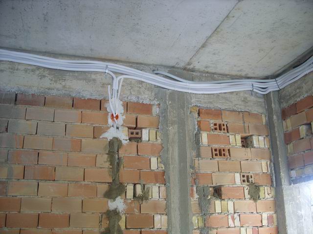 Resize of Petar 073.jpg