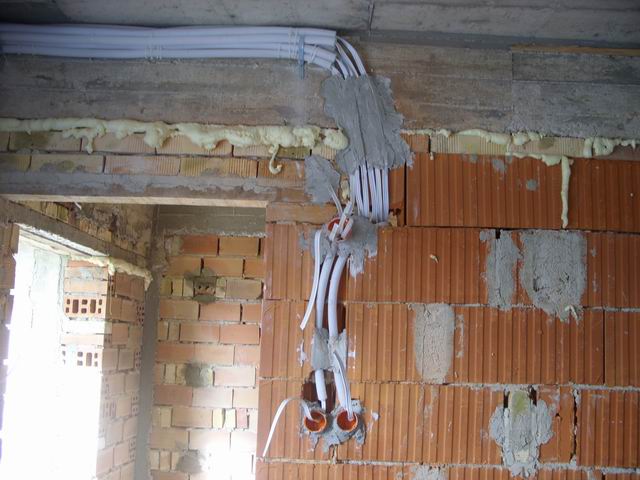 Resize of Petar 100.jpg