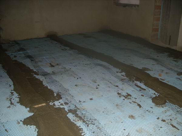 Resize of SS850689.JPG