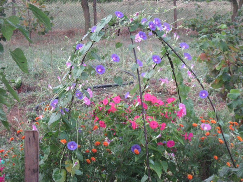 Copy (1) of Picture 035-1.jpg