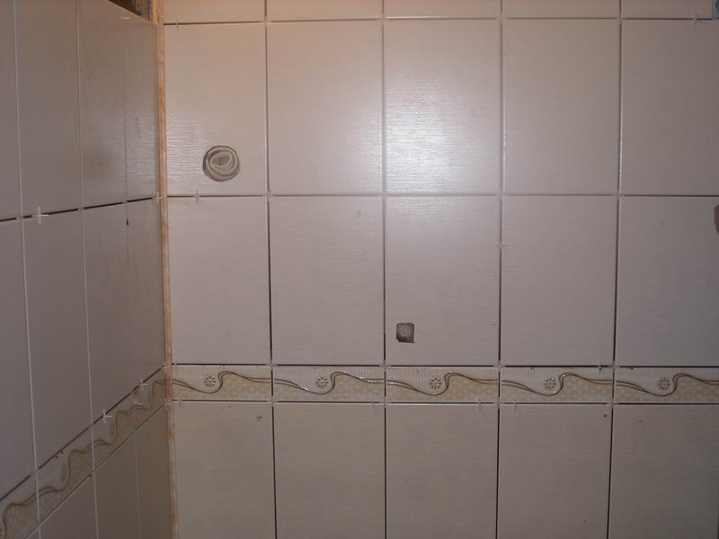 Resize of SS850738.JPG