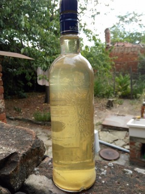 IMG_20200815_102107 (1224 x 1632).jpg