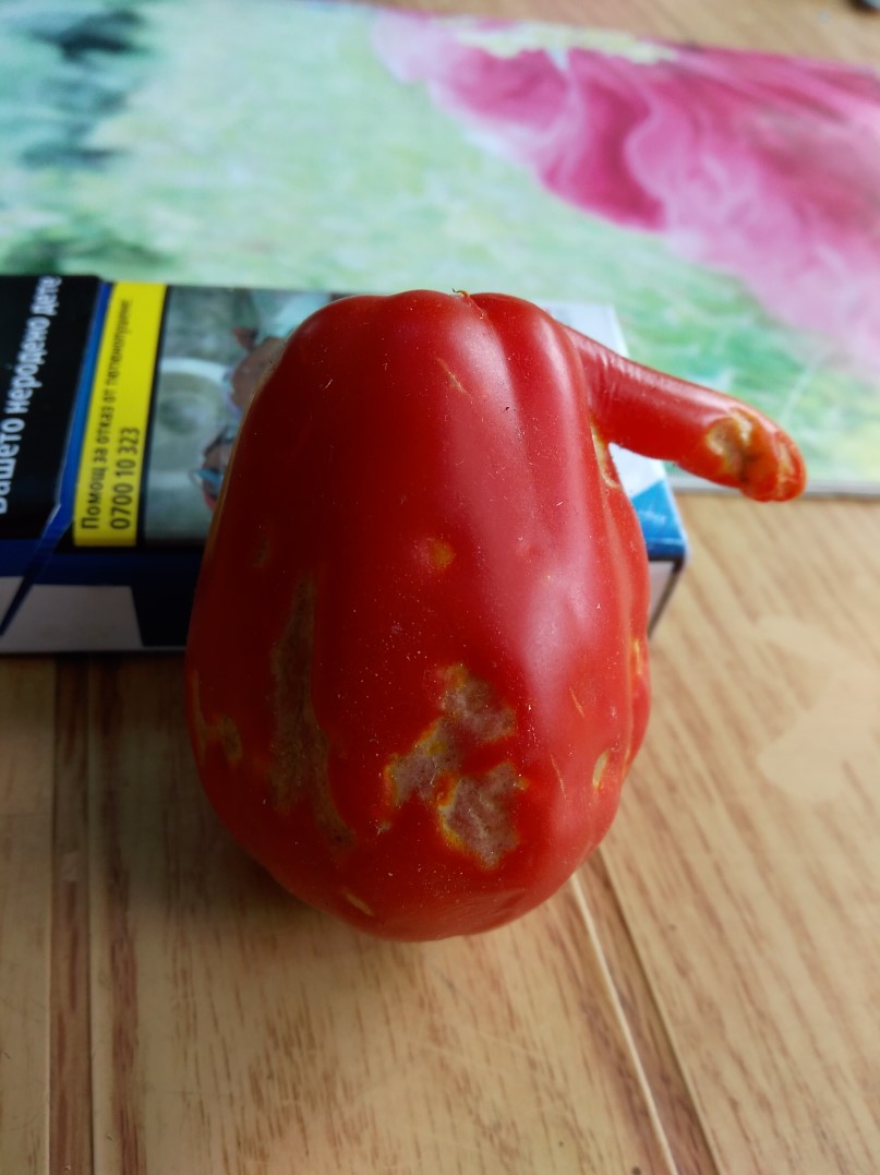 IMG_20200816_120131 (807 x 1077).jpg