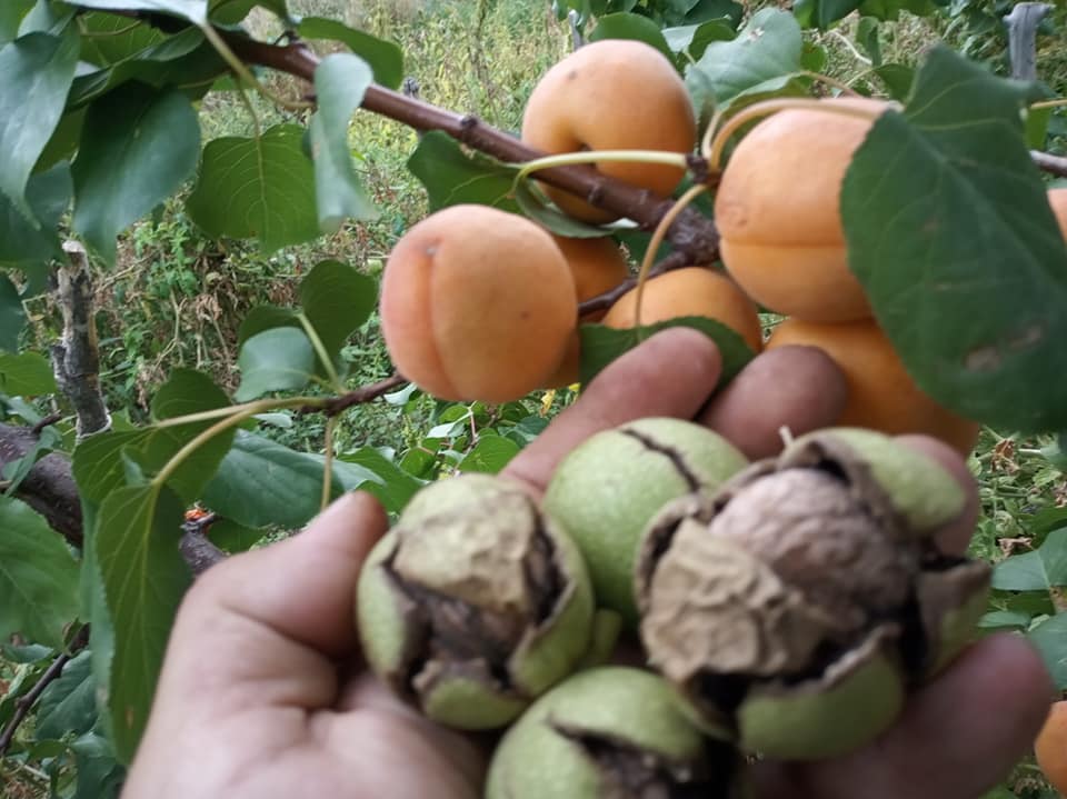 3 октомври 2020.jpg