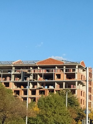 22222.jpg