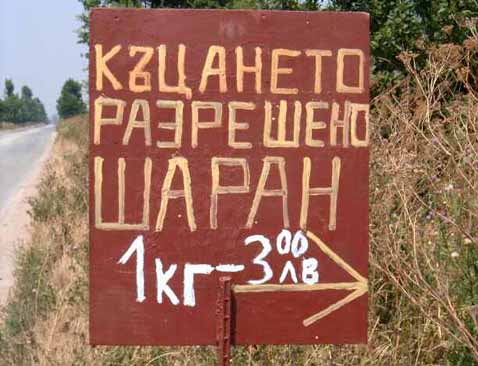 Only_In_Bulgaria_08.jpg