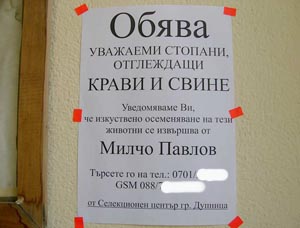 с Only_In_Bulgaria_10.jpg