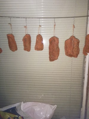 IMG_20210222_193244 (1224 x 1632).jpg