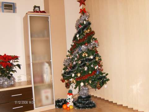 честита КОЛЕДА.JPG