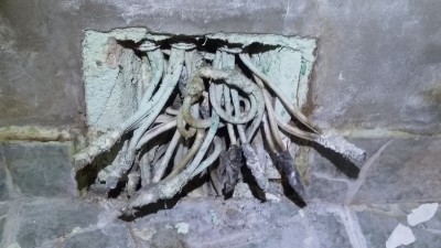 IMG_20220913_171133.jpg