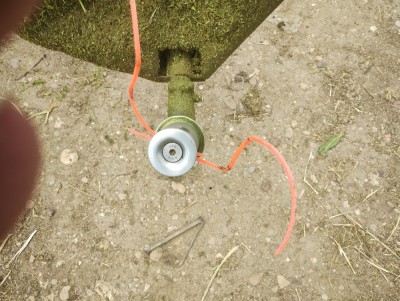 ал. глава1.jpg