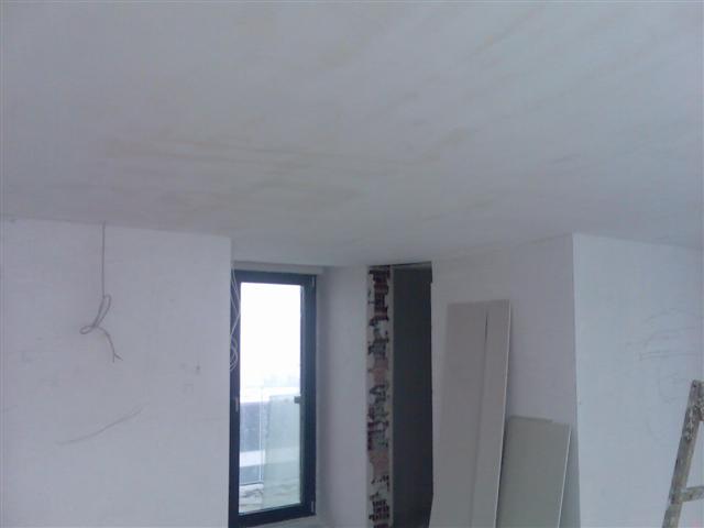 бояна 016 (Small).jpg