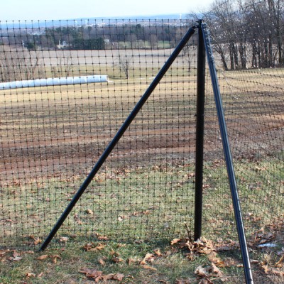 Z1.jpg