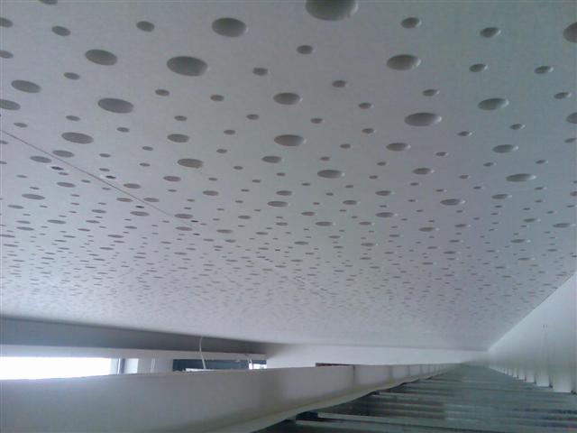 бояна 029 (Small).jpg