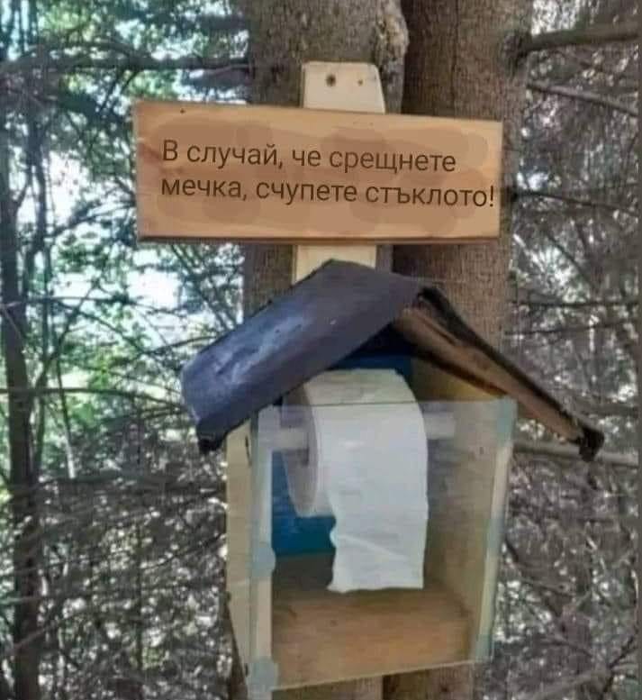 Мечка.jpg
