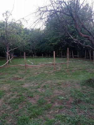 IMG_20240711_190345.jpg