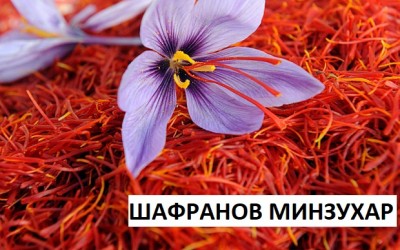 Шафранов минзухар.jpg