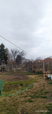 IMG_20250122_091753.jpg