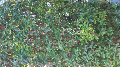IMG_20250126_134049.jpg