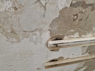 20250315_121841 (1).jpg