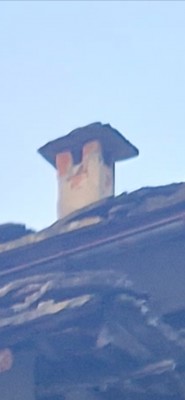 Screenshot_20250412_110004_Gallery.jpg